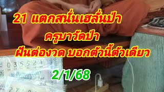 21 แตกสนั่นเฮลั่นป่า ครูบาวัดป่า ฝันต่องวดบอกตัวนี้ตัวเดียว 2/1/67