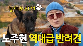 역대급 몸값 자랑하는 반려견 셰퍼드들과 함께하는 노주현 라이프 대공개! [ep. 1]