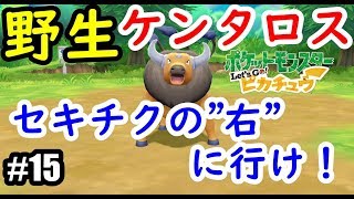 #15【ポケモンレッツゴー実況】セキチクの東でケンタロスと出会いガルーラにリベンジする男。ポケモン図鑑完成させる。【Let’s GO!ピカチュウ/イーブイ】