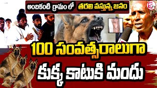 100 సంవత్సరాలుగా కుక్క కాటుకి మందు|నిర్మల్ జిల్లా కుంటాల  మండలం  అంబకంటి  గ్రామం|@sumantvbhainsa