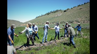 Low-Tech Wet Meadow Restoration: Reading the Landscape