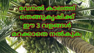 വേനൽ കാലത്ത് തെങ്ങുകൃഷിക്ക് ഈ 3 വളങ്ങൾ മറക്കാതെ നൽകുക | Thengu krishi valam in malayalam