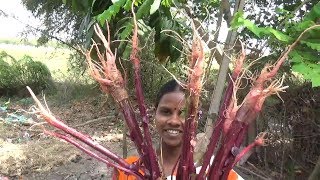 Keerai Thandu Kulambu Recipe  ~ சுவையான இனிப்பு கீரை தண்டு குழம்பு ,, கிராமத்து உணவு ,,