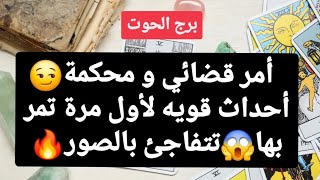 تاروت برج الحوت من 4 إلى 11 فبراير 2025 // أمر قضائي و محكمة😏أحداث قويه لأول مرة تمر بها😱تتفاجئ ..🔥