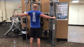 Cable Rear Delt Fly