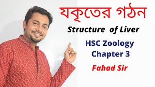 Structure of Liver | HSC Zoology Chapter 3 | যকৃতের গঠন | Fahad Sir