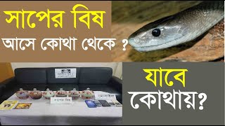 সাপের বিষ আসে কোথা থেকে, আর যায় কোথায় , snake poison price in Bangladesh