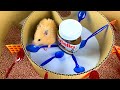 Hamsters in Nutella Maze | 6-Level Maze for Hamster