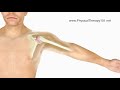 What Is A Frozen Shoulder (animation)