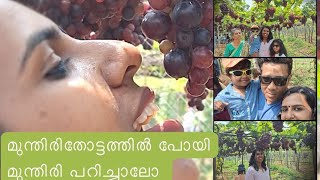 കുറച്ചു മുന്തിരി പറിക്കാൻ പോയാലോ |കമ്പം -തേനി grape farm #trip #trending #travel