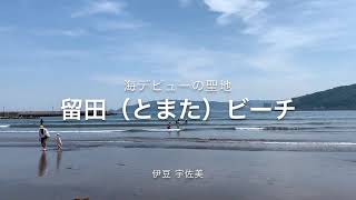 海デビューの聖地。遠浅で小さいお子様連れに最適！砂もやわらかいナチュラルビーチ！　伊豆　宇佐美　留田（とまた）ビーチ