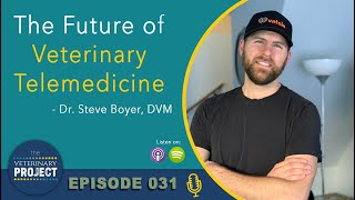 Dr. Steve Boyer Burnout and Personal Fulfillment in Pursuing Alternative Business Opportunities Ep31