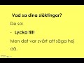 sfigunilla samtal om resa till sverige