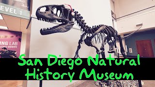 【南加州圣地亚哥自然历史博物馆🦕】Visiting San Diego Natural History Museum 🦖🐙🐍
