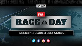 DRF Sunday Race of the Day | Grade 3 Grey Stakes 2020