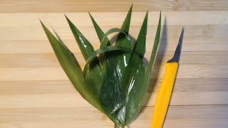 Bamboo Leaf (Sasa)  Decoration