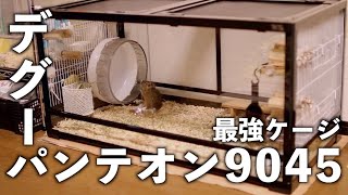 デグー(degu)！最強ケージパンテオン9045組み立て動画