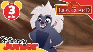 The Lion Guard | Running With The King Song | Disney Junior UK
