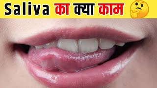 Saliva का क्या काम है | हमारे मुंह में Saliva का क्या काम #Short #Shortfact