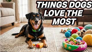 15 Things Dogs Love the Most | Ultimate Dog Happiness Guide | Dog Facts |