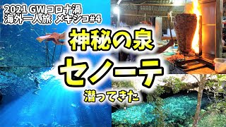 光の芸術 グランセノーテの神秘の泉に潜ってきた 【メキシコ妄想旅#4】2021年GWゴールデンウィーク