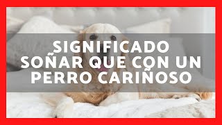 ▶️ QUÉ SIGNIFICA SOÑAR CON PERRO CARIÑOSO 2023 ✅ SIGNIFICADO SUEÑAR CON PERROS CARIÑOSOS