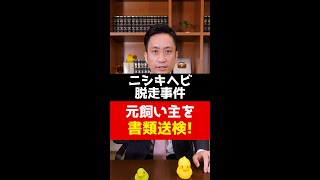 ニシキヘビ脱走事件！元飼い主を書類送検！弁護士解説 #Shorts