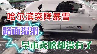 哈尔滨突降一夜暴雪，路面湿滑车开如同牛车，大早市啥情况了！