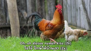 ปักษ์ใต้บ้านเรา 4 ภาษา / Our southern homeland / Selatan rumah kita | Melayu, Thai, Arab, English