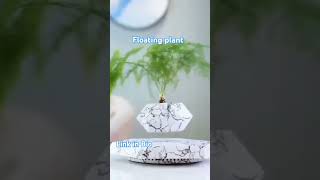 floating plant pot magnetic  #indoorplants  #plantlover  #homedecor  #interiordesign  #hydroponics