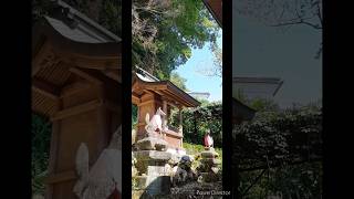 神社仏閣・史跡紹介 No.244【末光稲荷】（ 岐阜県岐阜市伊奈波通 ）