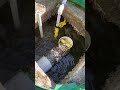 septic tank system drain field Southwest Florida Fort Myers part 1 best way to fix 