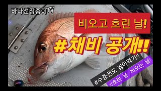 제주 타이라바 참돔이 좋아하는 채비 공개!!. 수중전 박살내기!! 나만따라와 도시어부 - jeju tairubber fishing. jeju skipper.