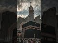 Wo Mera Nabi Mera Nabi hai naatstatus#whatsapp status#islamic naat #trending