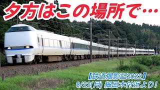 【鉄道撮影記2022】8/22(月) 細呂木付近より!