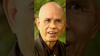 What is Karma | Thich Nhat Hanh | Plum Village #Shorts