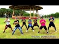 I'm Alive by Celine Dion | Mashup Remix | Zumba | Dance Fitness | Capas Boiz