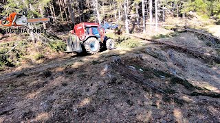 Wege nach Schneebruch und Sturmschaden aufschneiden