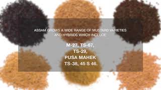 Mustard Industry of Assam