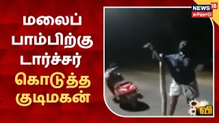 Kerala | மலைப்பாம்பிற்கு டார்ச்சர் கொடுத்த குடிமகன் | Drunkard | Snake