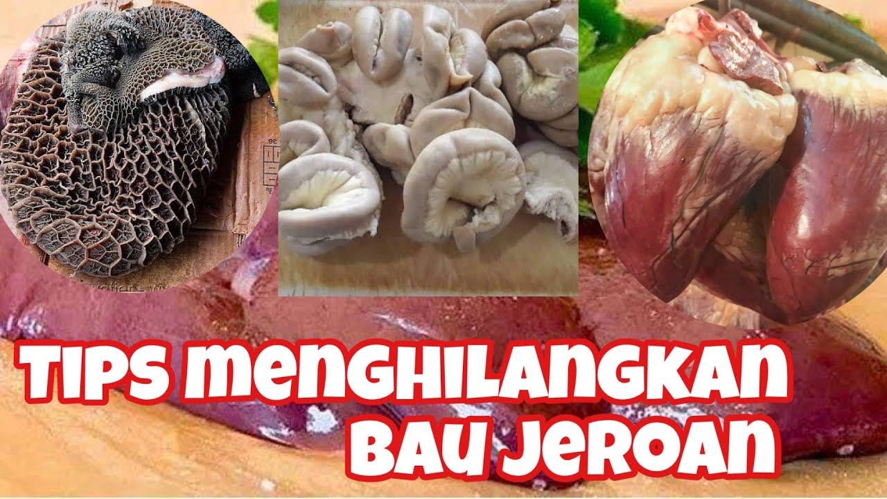 Cara Mengolah Jeroan Sapi/Kambing Supaya Tidak Amis Dan Enak Saat ...