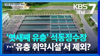 ‘엿새째 유충’ 창원 석동정수장, ‘유충 대응 취약시설’서 제외? / KBS  2022.07.13.