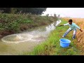 Fishing Video || The village boys were able to catch a lot of fish from the canal in a short time