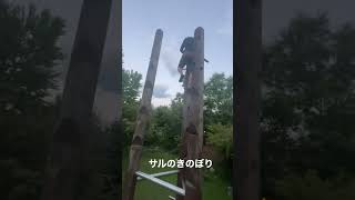 八ヶ岳移住　田舎暮らし　北杜市武川町フレンドパーク武川で遊ぶ　子育て中世代のお父さん　#shorts