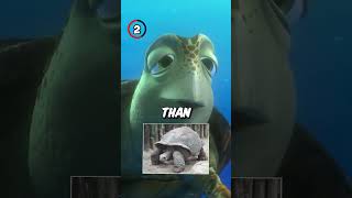 5 GOOFS In FINDING NEMO!