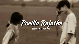 Perilla Rajathe Rajakumari Slowes \u0026 Reverb #slowedandreverb #malayalamsongs #lofimusic