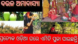 ବଉଳ ଅମାବାସ୍ୟା ବା ବକୁଳ ଅମାବାସ୍ୟା କେମିତି ପୁଜା କରାଯାଇଥାଏ ‌|| ଆସନ୍ତୁ ଦେଖିବା ଓଡ଼ିଆ ଘରର ପରମ୍ପରା