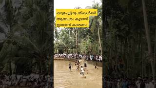 ആവേശം പൂണ്ട കാളപൂട്ട് മത്സരം kalapootu palathingal|Bullrace#shortvideo