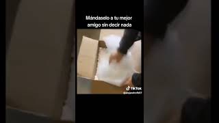 Mandale Este Video A Alguien Y No Digas Nada #parodia #meme #short #shortsmeme #shortshumor #humor