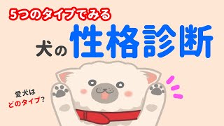 【犬の性格診断】愛犬をもっと理解できる！5つのタイプ別行動パターン